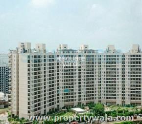 3 Bedroom Apartment / Flat for sale in Parsvnath Green Ville, Sector-48, Gurgaon
