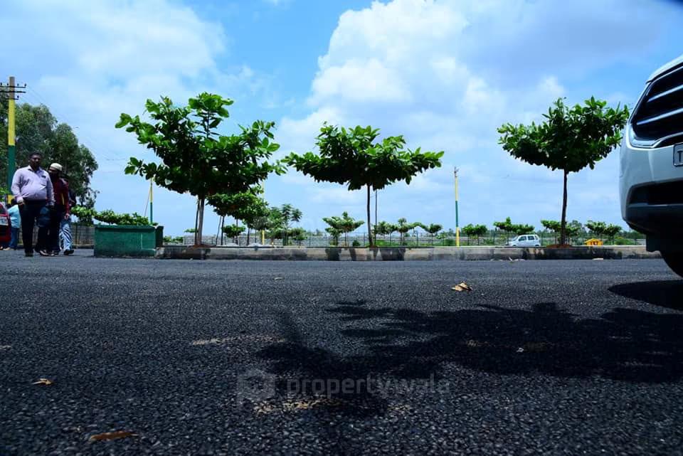 plots view
