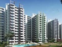 1 Bedroom Flat for rent in Aditya Celebrity Homes, Sector 76, Noida
