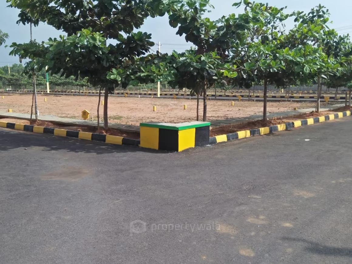 plots view