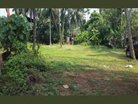 Residential Plot / Land for sale in Athani, Thrissur