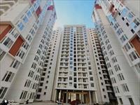 Spacious 3 BHK Apartments in Whitefield