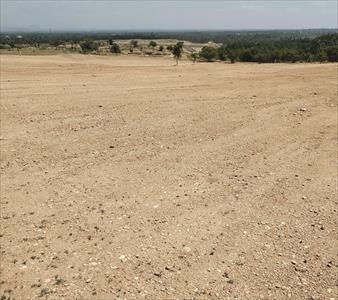 Agricultural Land for sale in Nanguneri, Tirunelveli