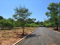 DTCP Approved Farm Land for sale at Auroville Pondicherry and Matrimandir Globe