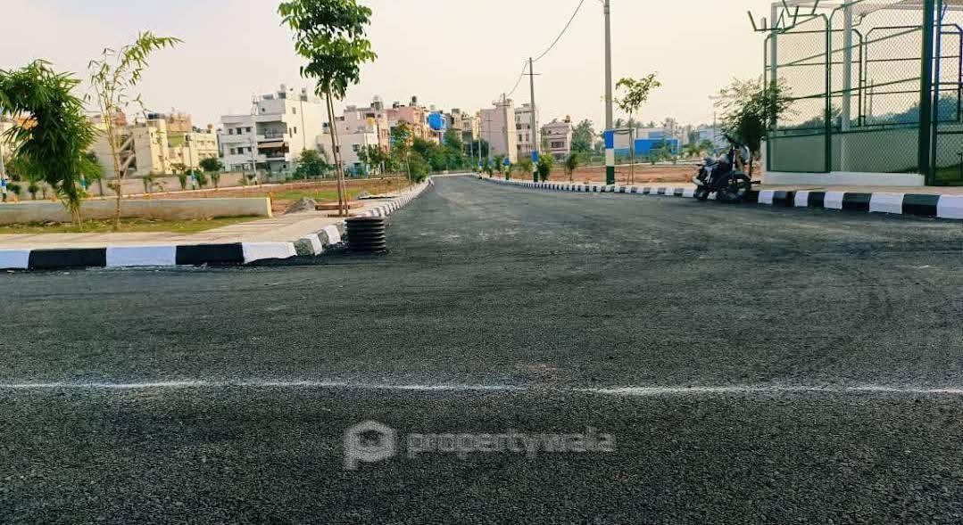 Project - Road View