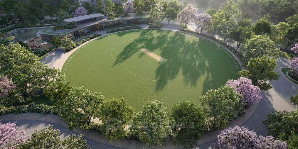 Cricket Ground