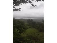 Agricultural Plot / Land for sale in Malwandi, Lonavala