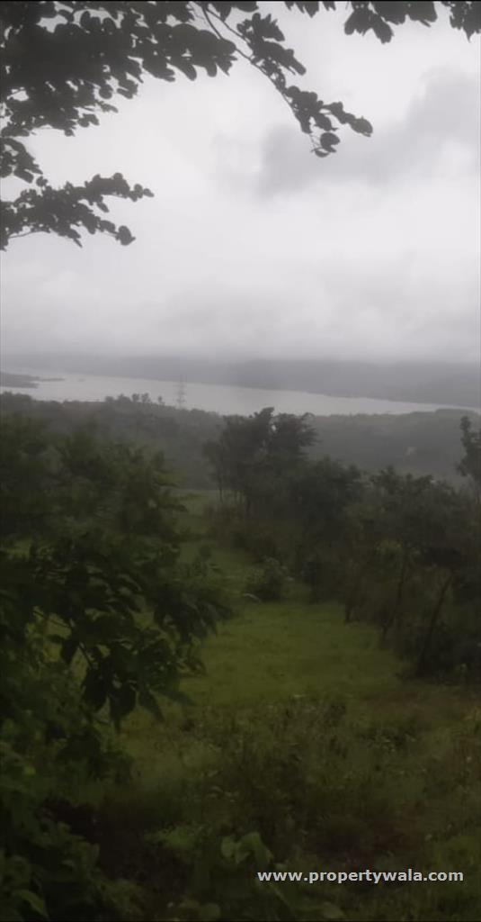 Plot View
