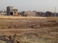 Land for sale in SRD Purvanchal Bhatika, Sector 81, Noida