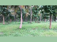 Agriculture land for sale Kanakapura Near