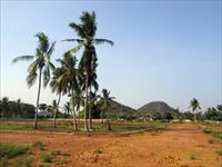 Residential Plot / Land for sale in Parwada, Visakhapatnam
