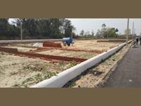 Agricultural Plot / Land for sale in Ahmamau, Lucknow