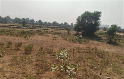 Residential Land for sale in Jagatpura, Jaipur