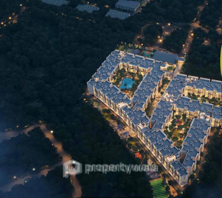 Night Aerial View