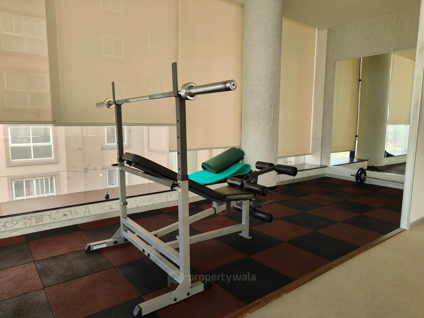 Gymnasium