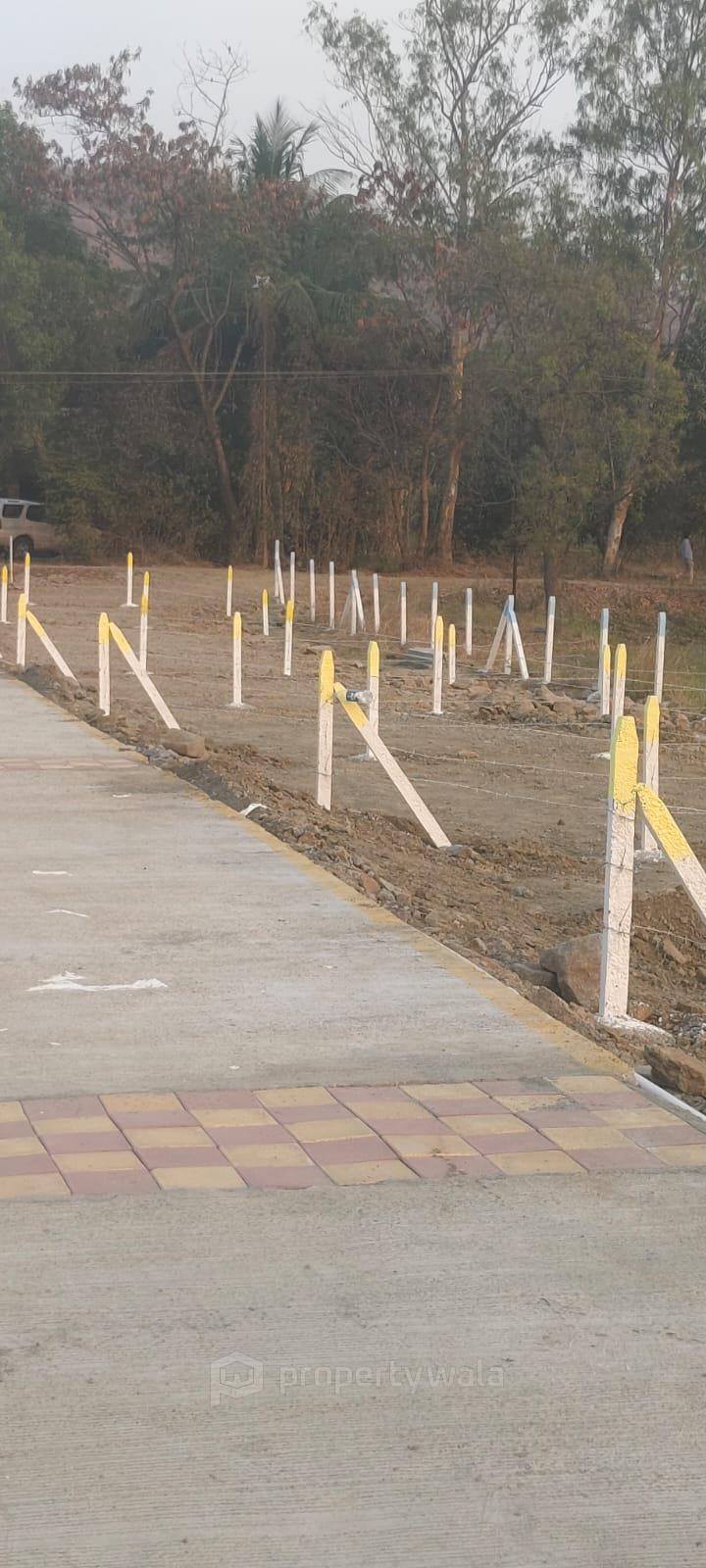 Plot View