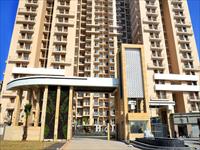 3 Bedroom Flat for sale in Arihant Ambar, Noida Extension, Greater Noida