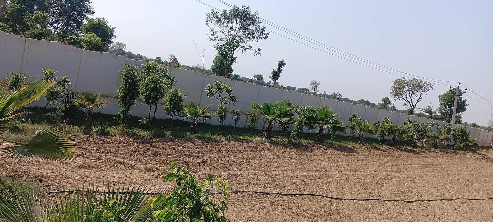 Plot View