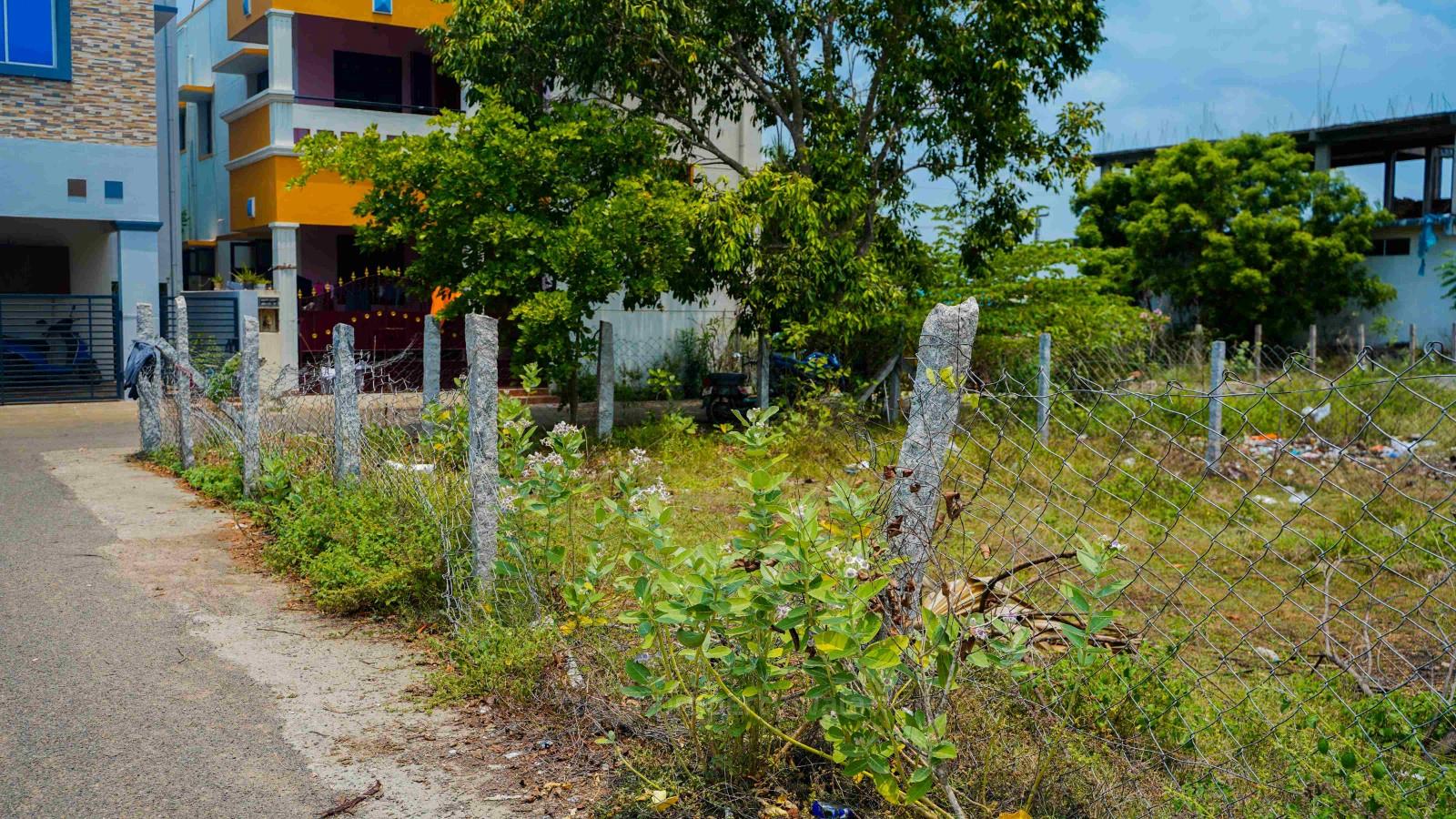 Plot Photo