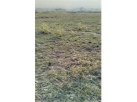 Agricultural Plot / Land for sale in Purani Basti, Raipur