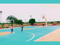 Basketball Court