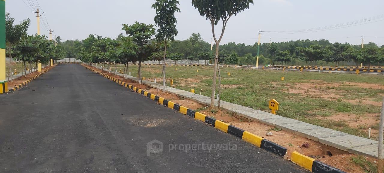 plot view