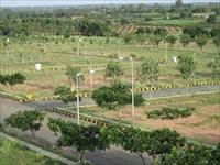 Land for sale in Yamuna Expressway, Greater Noida