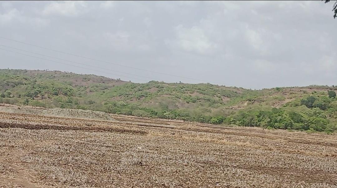 Plot Shirdhon Panvel