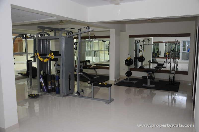Gymnasium