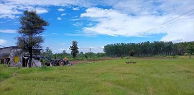 Residential Land for sale in Dhamawala, Dehradun
