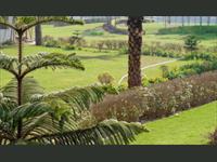 Land for sale in Royale Gardens Premium, Rajpura, Patiala