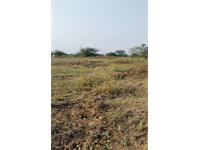 Agriculture Land/Plots