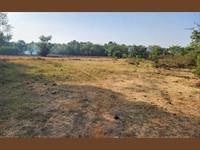 Agricultural Plot / Land for sale in Amba Valley, Lonavala