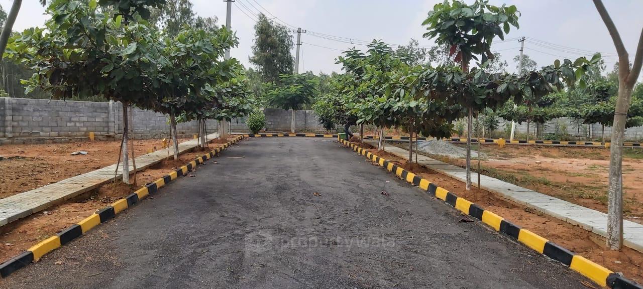 plot view
