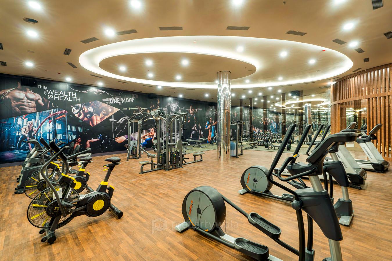 Gymnasium