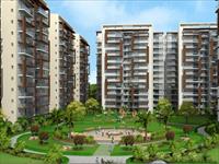 Showroom for sale in Motia Oasis, Patiala Road area, Zirakpur