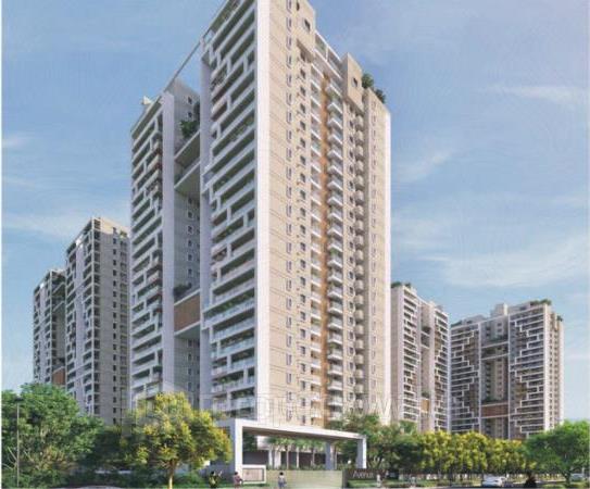 Project - Aerial View