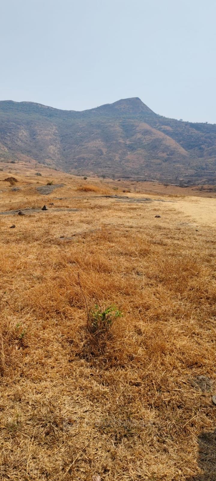plot view