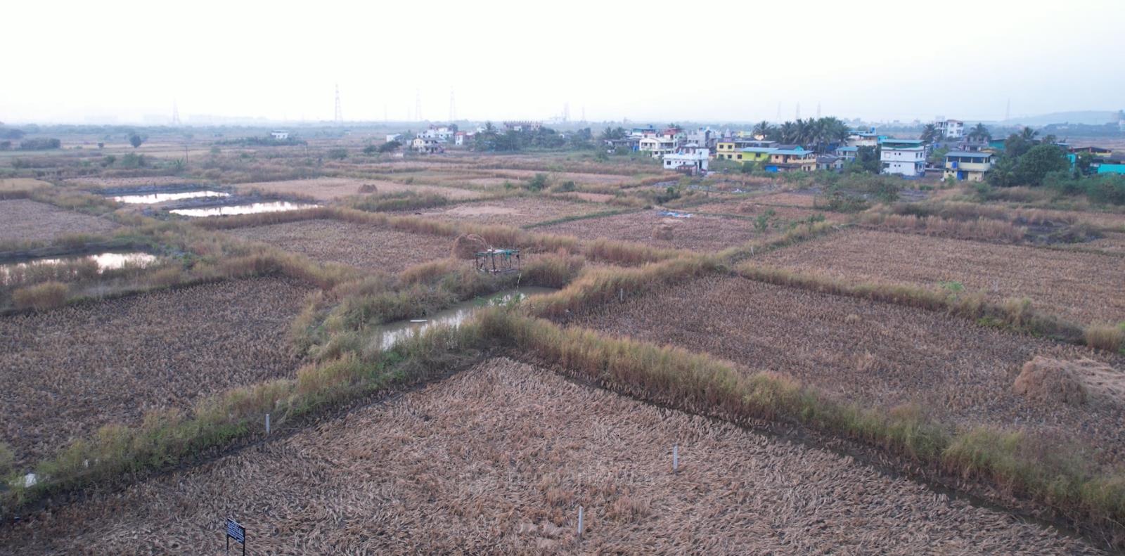 Ranjanpada Plot For Sale