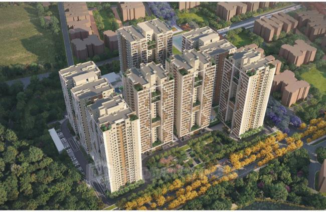 Project - Aerial View