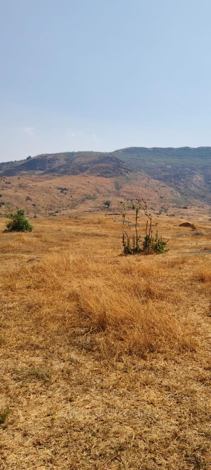 plot view