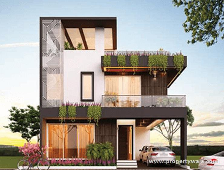 Elevation