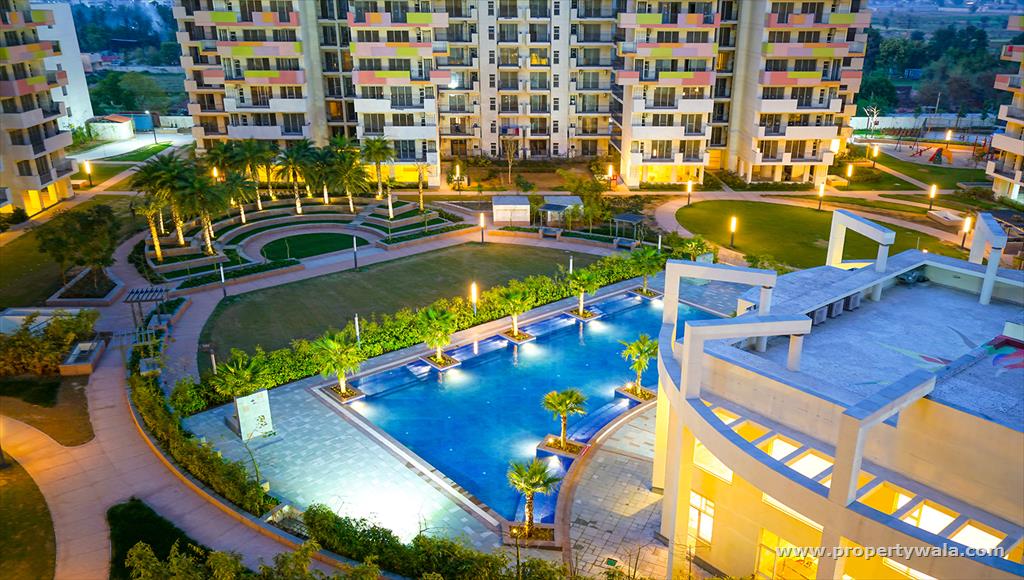 Night View