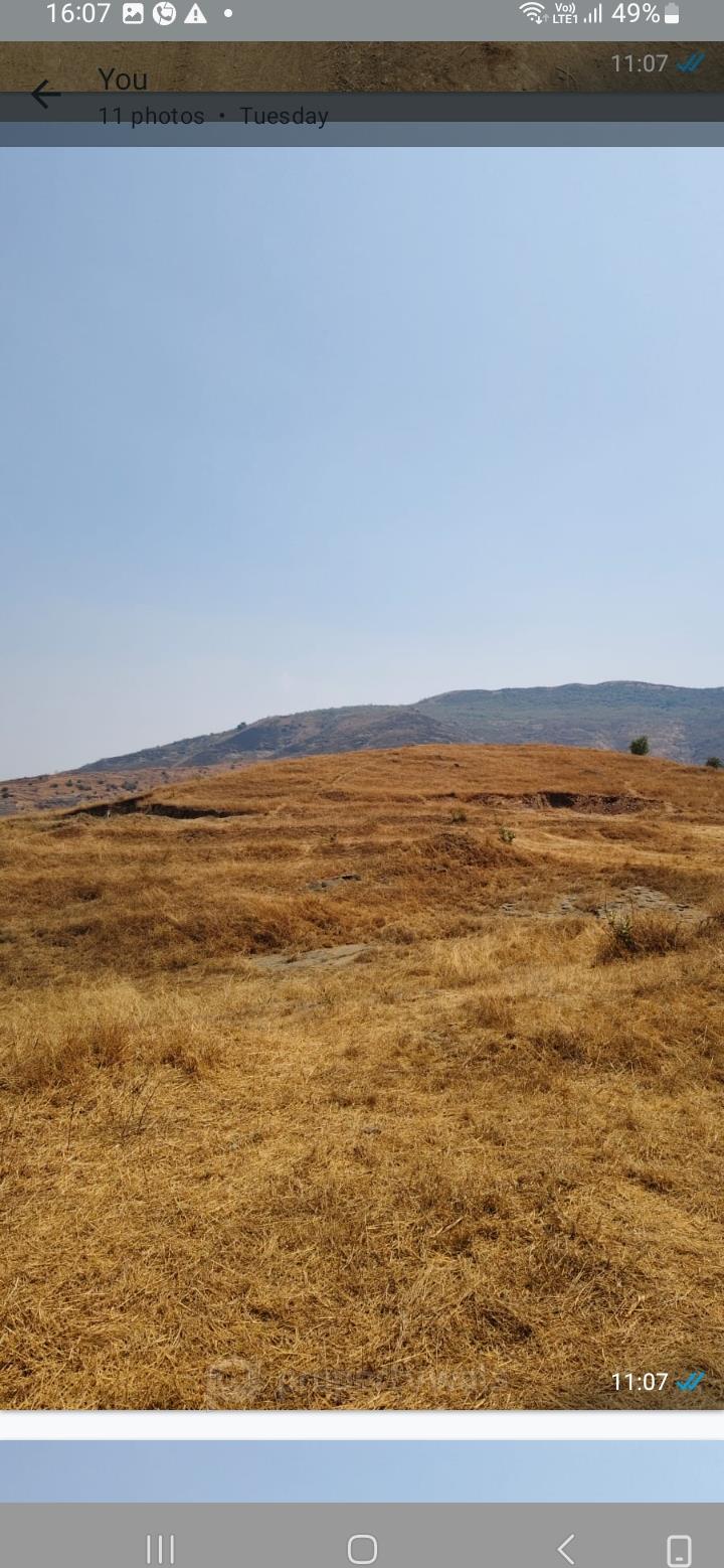 plot view