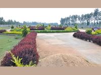 Land for sale in Peninsula Pinewood Phase1, Chikka Tirupathi, Bangalore
