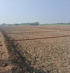 Residential Land for sale in Sohna, Gurgaon
