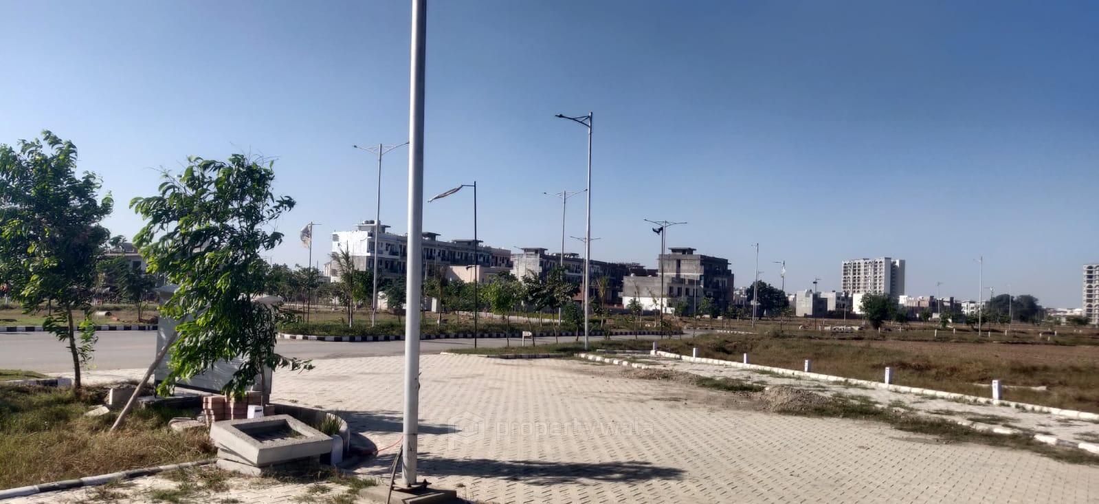 Actual Site Pictures