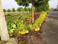 Be a plot owner in kapuluppada heart of the capital city of A P Vizag
