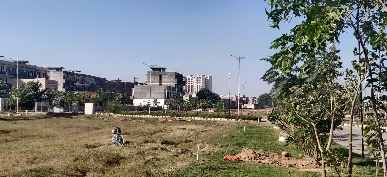 Actual Site Pictures