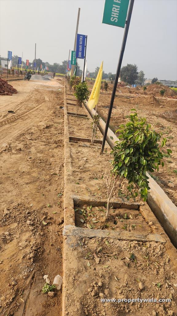 Project - Main Entrance